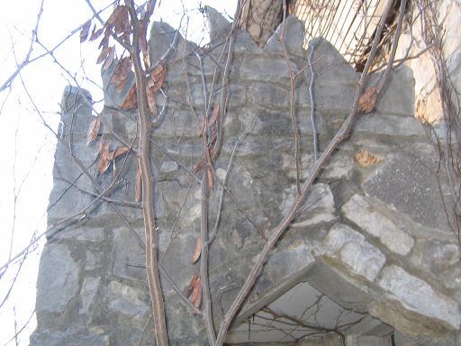 Brick work above front door of the house.