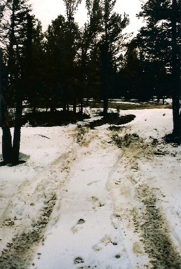 With the snow drifts I would get a run at them and use the speed conquers all theory. But this time the drift was to deep and long  and we were stuck with all 4 wheels just spinning in the snow.