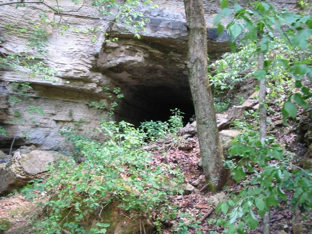 This is looking at the tunnel from the west end.