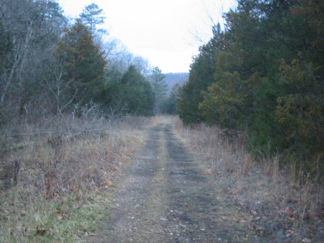 This is the path between the tunnel and the trestle.