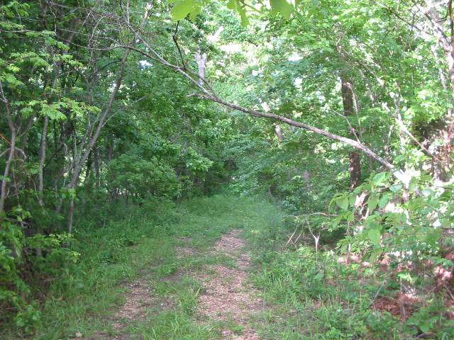 Looking at the path from the bridge.