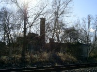 Some kind of plant on the train tracks. There was a lot of crushed rock.