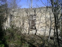 Old building in the trees