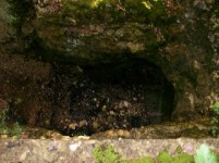 Looking into the shaft. It seems to be flooded about six feet past the grate.