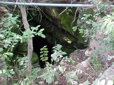ash grove cave.jpg