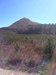 Photo from the bottom of Forked Mountain about to start the climb