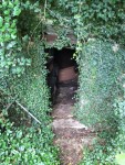 Shawnee Cave entrance