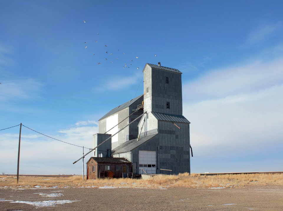 The large flock of pigeons fleeing the top of the elevator inspired the name.