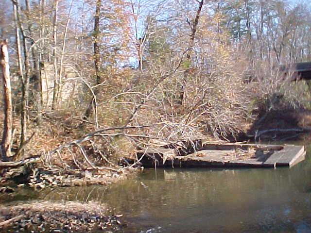 Pier in river, with piers in woods visible