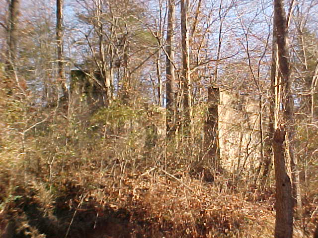 Pier and abutment in woods