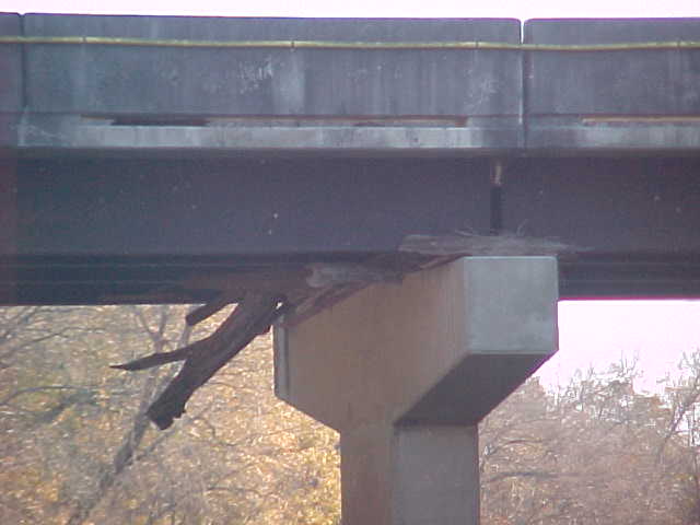 Debris stuck in bridge
