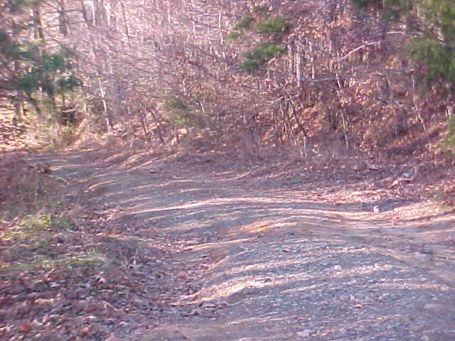 Old roadbed leading to low water crossing