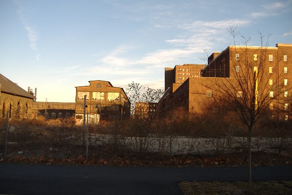 Lots of abandond office buildings too.