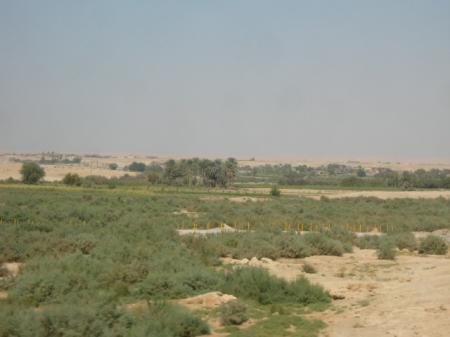 South Bank of the Euphrates